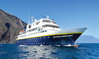 National Geographic Gemini